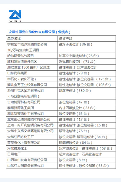安徽維思克自動化儀表有限公司（資質文件）_11